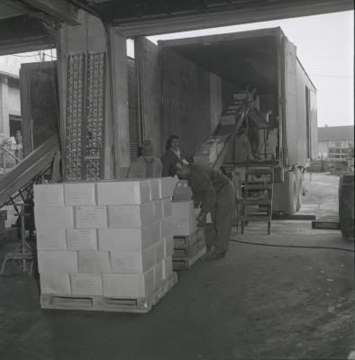 Vita Foods plant