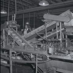 Vita Foods plant pickle canning assembly machinery