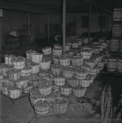 Vita Foods plant