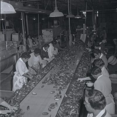 Vita Foods plant