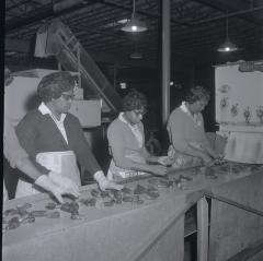 Vita Foods plant