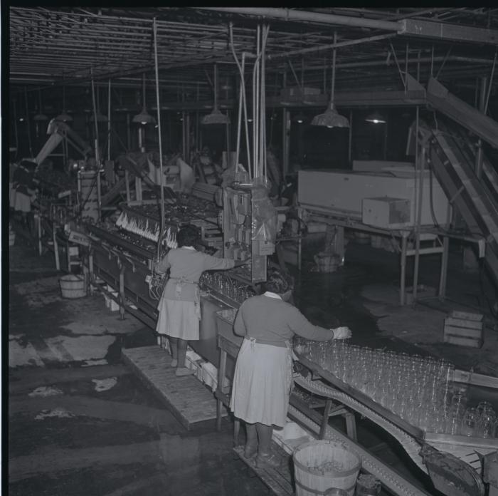 Vita Foods plant