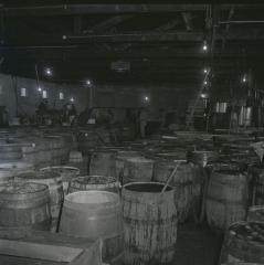Vita Foods plant