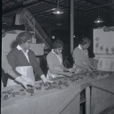 Vita Foods plant