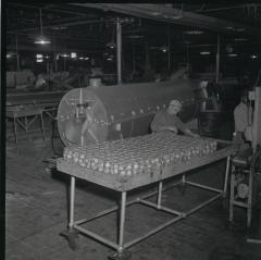 Vita Foods plant