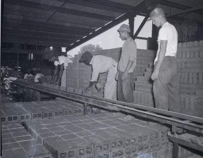 Chestertown Brick Comapnay
