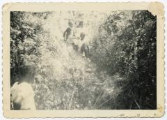 Four girls playing on a hillside