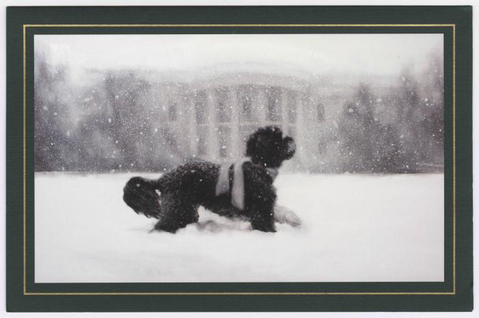 Holiday card from President Obama and family
