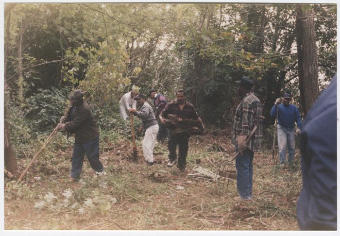 Men working in a forest