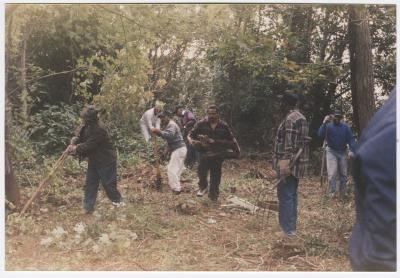 Men working in a forest
