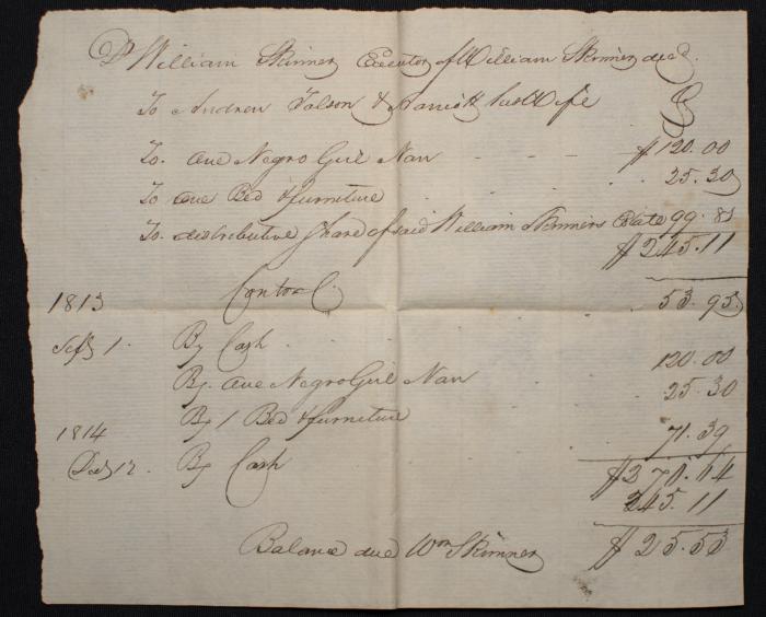 Partial will of William Skinner