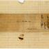 Letter from Alphonsa Blake to their lawyer Joseph Wickes