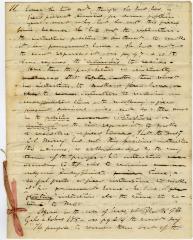 "Argument of plaintiffs appeal in case petition of freedom of Money's Negros"
