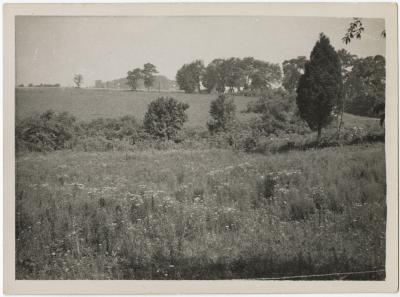 Landscape in Kent County