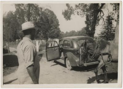 Man with horse and car
