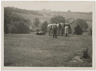 Man and woman with horse plow