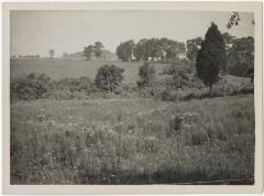Landscape in Kent County