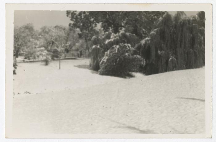 Snow