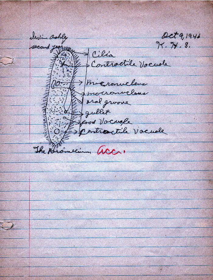 Irwin_ashley_10-9-1946_classroom_schoolwork_display_in_the_kennard_cultural_center.pdf