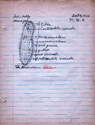 Irwin_ashley_10-9-1946_classroom_schoolwork_display_in_the_kennard_cultural_center.pdf