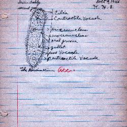 Irwin_ashley_10-9-1946_classroom_schoolwork_display_in_the_kennard_cultural_center.pdf