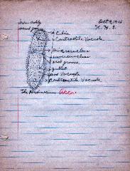 Irwin_ashley_10-9-1946_classroom_schoolwork_display_in_the_kennard_cultural_center.pdf