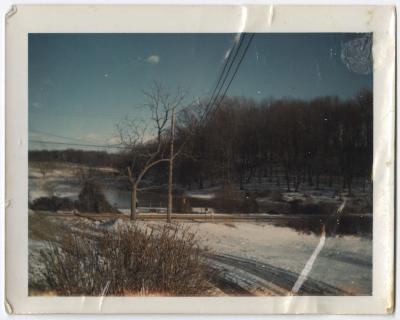 TR_010_036.jpeg