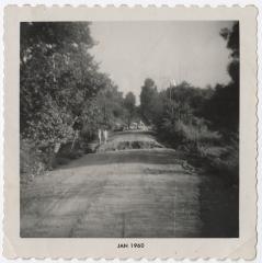 TR_010_038.jpeg