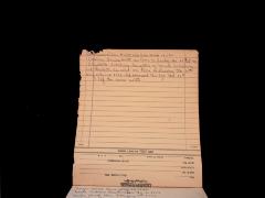 Genealogy including African Americans